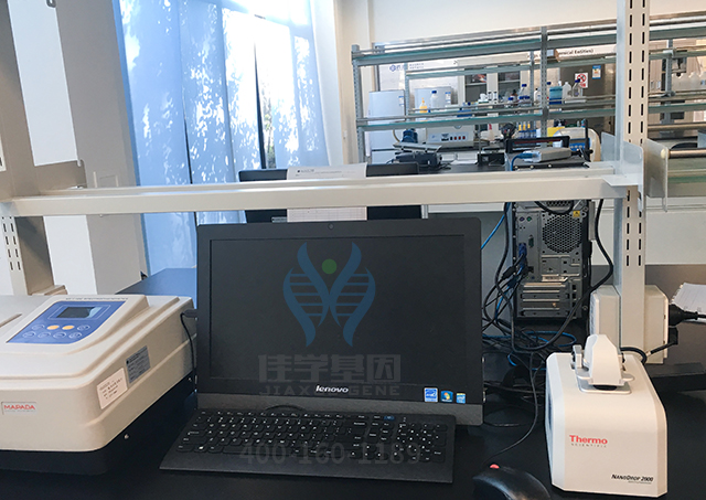 佳学基因解码之运动天赋基因解码