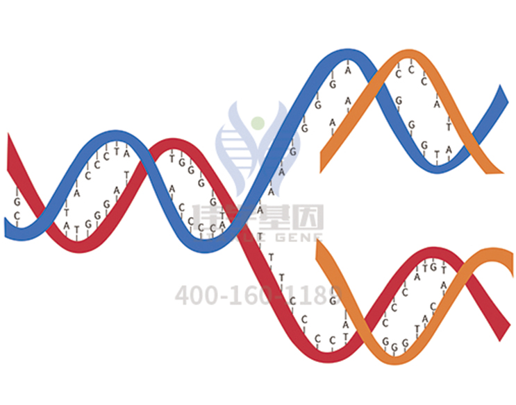 【佳学基因检测】做CNGB3相关的疾病基因解码、<a href=http://www.jiaxuejiyin.com/tk/jiema/cexujishu/2021/31933.html>基因检测</a>方便吗？