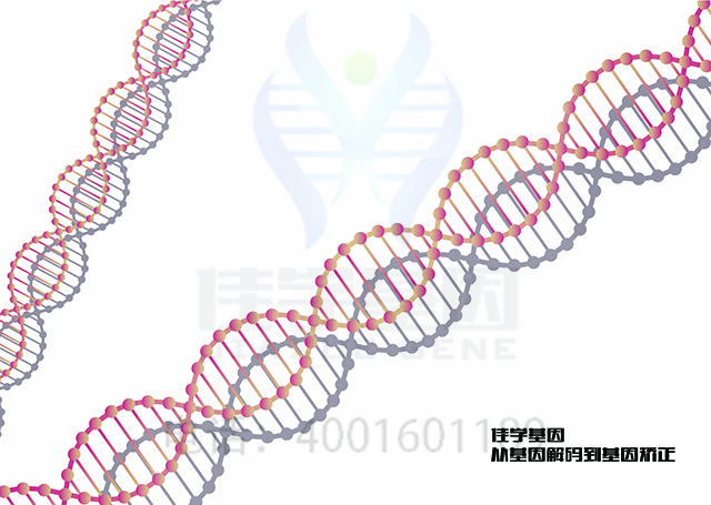 【佳学基因检测】做Diamond-Blackfan贫血1型基因解码、<a href=http://www.jiaxuejiyin.com/tk/jiema/cexujishu/2021/31933.html>基因检测</a>方便吗？