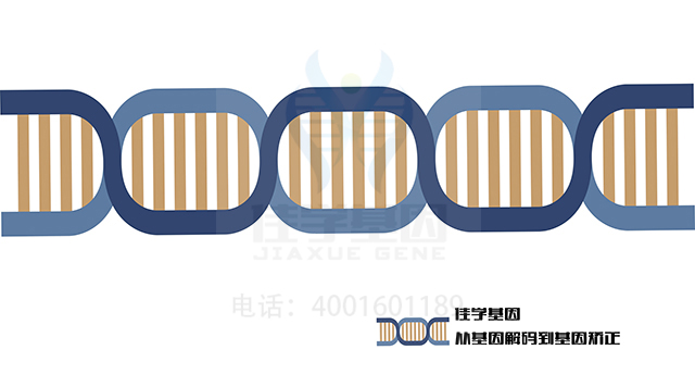 【佳学基因检测】需要多长时间可以拿MASP2缺陷基因解码、<a href=http://www.jiaxuejiyin.com/tk/jiema/cexujishu/2021/31933.html>基因检测</a>报告？