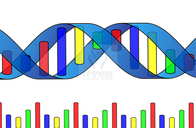 【佳学基因检测】CHILD综合征基因解码、<a  data-cke-saved-href=http://www.jiaxuejiyin.com/tk/jiema/cexujishu/2021/31933.html href=http://www.jiaxuejiyin.com/tk/jiema/cexujishu/2021/31933.html>基因检测</a>有什么用？