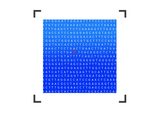 【佳学基因检测】怎样选择进行性可变性红斑皮肤角化症4型基因解码、<a href=http://www.jiaxuejiyin.com/tk/jiema/cexujishu/2021/31933.html>基因检测</a>？