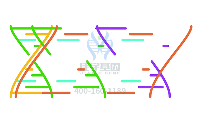 【佳学基因-基因检测】为什么同种疾病会有不同表现类型