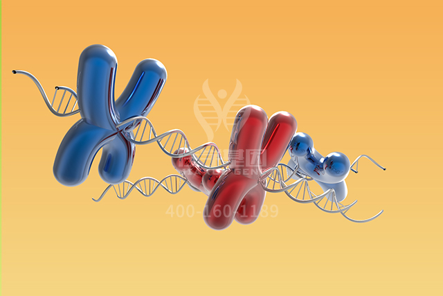 <b>【佳学基因检测】看分子诊断报告前，需要谙熟于心的STS知识</b>