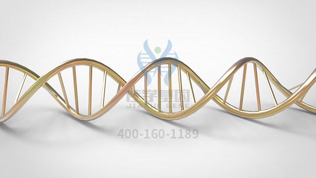 【佳学基因检测】什么人要做耳聋X连锁2型基因解码、<a href=http://www.jiaxuejiyin.com/tk/jiema/cexujishu/2021/31933.html>基因检测</a>？