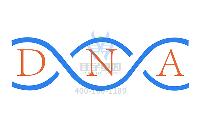 【佳学基因检测】怎样选择多发性骨髓瘤抗性基因解码、<a  data-cke-saved-href=http://www.jiaxuejiyin.com/tk/jiema/cexujishu/2021/31933.html href=http://www.jiaxuejiyin.com/tk/jiema/cexujishu/2021/31933.html>基因检测</a>？