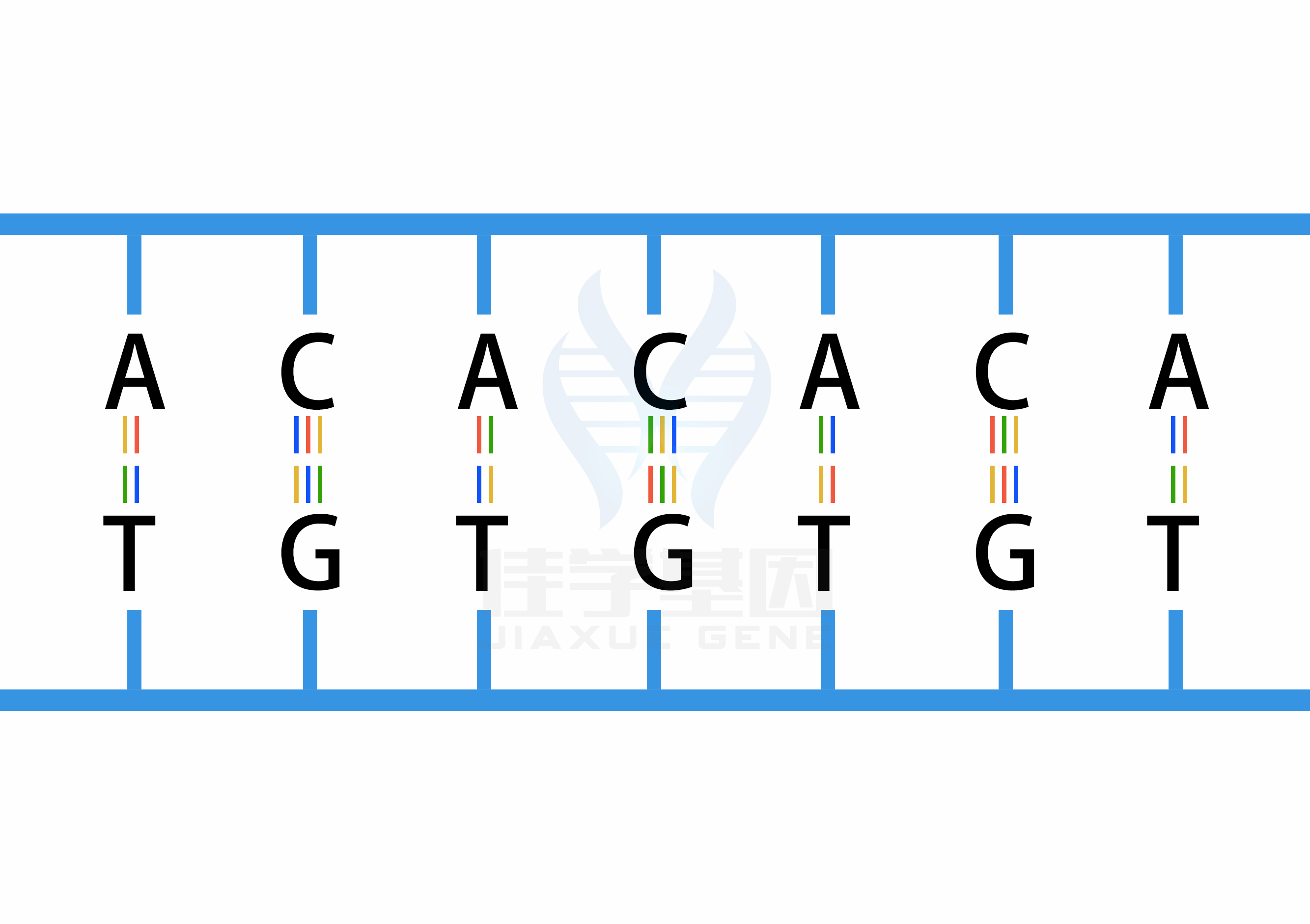 <b>【佳学基因检测</b>