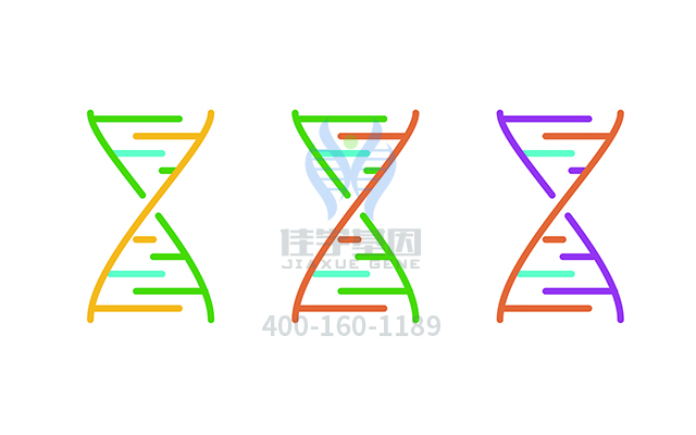 【佳学基因检测】糖尿病1型易感性基因解码、<a href=http://www.jiaxuejiyin.com/tk/jiema/cexujishu/2021/31933.html>基因检测</a>报告时间是一样的吗？