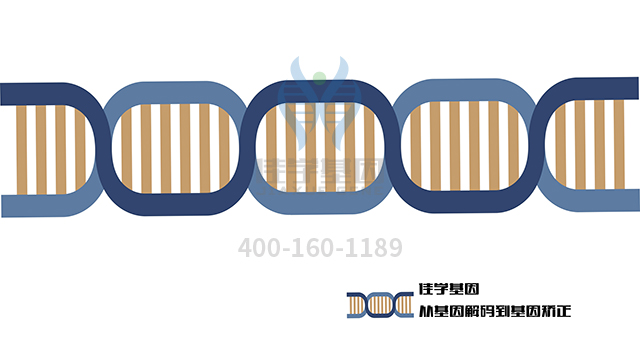 【佳学基因检测】做原发性高草酸尿症I型基因解码、<a  data-cke-saved-href=http://www.jiaxuejiyin.com/tk/jiema/cexujishu/2021/31933.html href=http://www.jiaxuejiyin.com/tk/jiema/cexujishu/2021/31933.html>基因检测</a>需要多长时间？