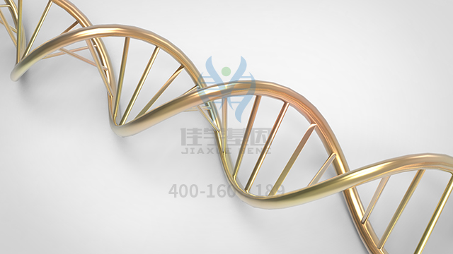 【佳学基因检测】什么人要做多发性内分泌瘤2a型基因解码、<a href=http://www.jiaxuejiyin.com/tk/jiema/cexujishu/2021/31933.html>基因检测</a>？