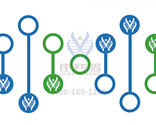 【佳学基因-基因检测】核酸提取技术简述（下）