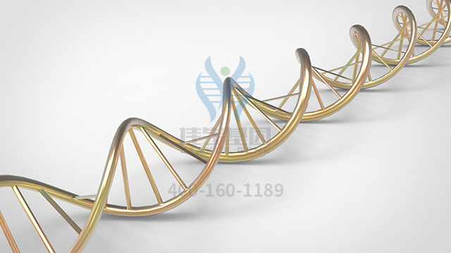 <b>【佳学基因检测】什么人要做早发性肌病伴致命性心肌病基因解码、基因检测？</b>