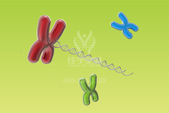 <b>【佳学基因检测】神经外科学中如何充实RHOH突变检测内容</b>