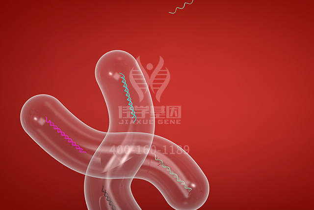 <b>【佳学基因检测】看分子病理检测报告前，需要谙熟于心的ASS1P4知识</b>