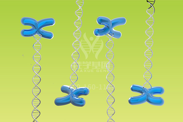 <b>【佳学基因检测】文心一言中分子病理检测中关于BAK1P2的知识所包含的内容</b>