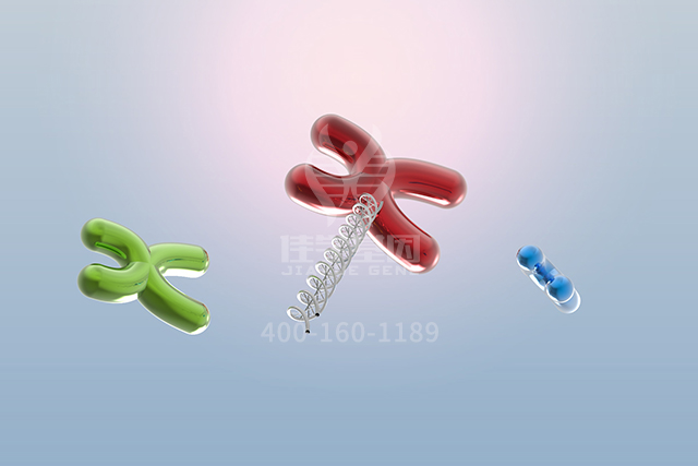 <b>【佳学基因检测】盘古大模型ATP6V1E1突变检测的信息标签</b>