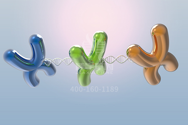 <b>【佳学基因检测】ALDH7A1P3基因评估分析有突变怎么办？</b>