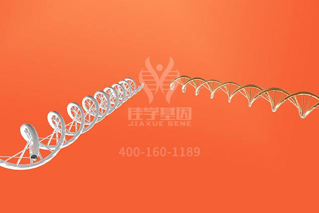 <b>【佳学基因检测】临床医学硕士关于BAGE分子病理检测的必备内容</b>