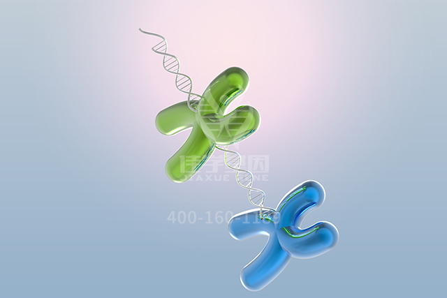 <b>【佳学基因检测】男性生殖科突变检测资质考核中关于ATP6V0C的问题及答案</b>