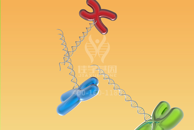 <b>【佳学基因检测】ATP4A分子病理检测的意义</b>