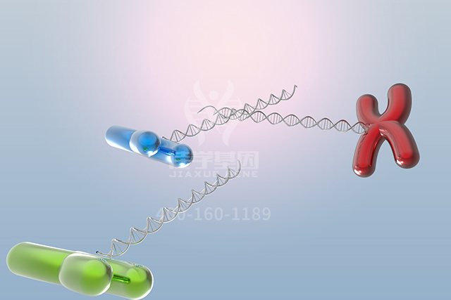 <b>【佳学基因检测】文心一言中突变检测中关于ATP5PO的知识所包含的内容</b>