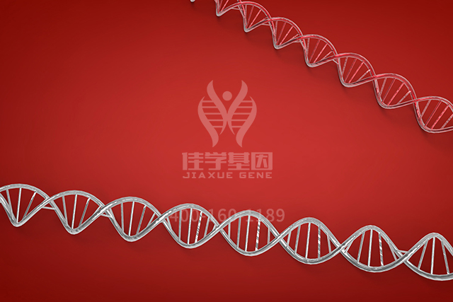 <b>【佳学基因检测】知道ATP6V1A的这些内容，是突变检测全面性一个准备</b>