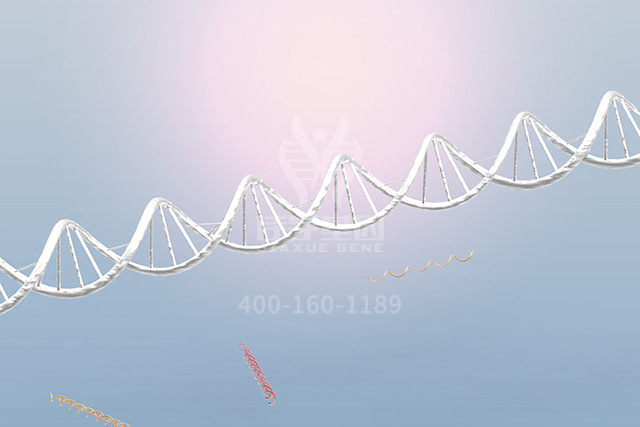 <b>【佳学基因检测</b>