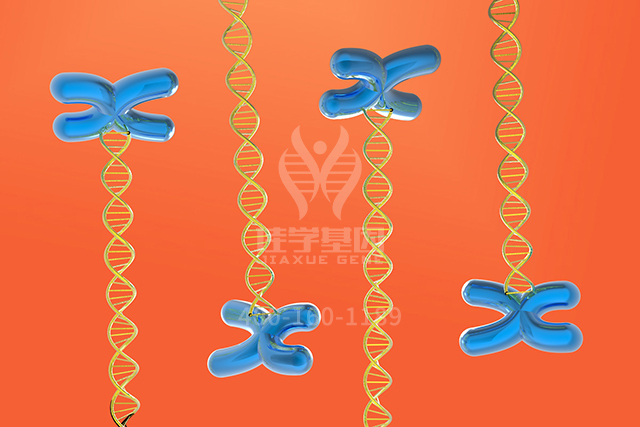 <b>【佳学基因检测】神经科基因分子病理检测项目招标问题中关ASS1P9问题的答案</b>