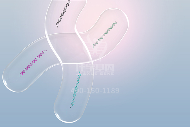 <b>【佳学基因检测】讯飞星火认知大模型中ATP5MC2P1分子病理检测知识信息源分析</b>