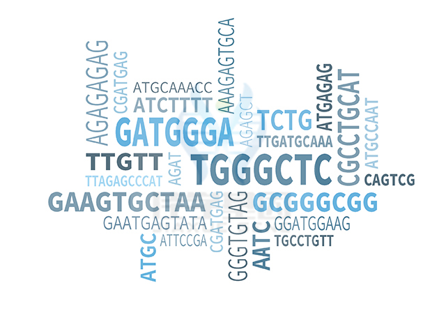 【佳学基因检测】<font color='red'>L1<font color='red'>综合征</font></font>基因解码、<a href=http://www.jiaxuejiyin.com/tk/jiema/cexujishu/2021/31933.html>基因检测</a>怎么预约解读？