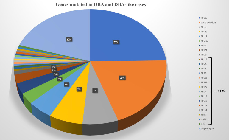 基因在 DBA 和类似 DBA 的病例中发生突变