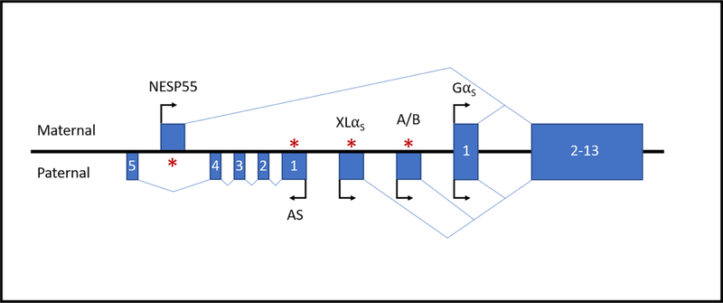 An external file that holds a picture, illustration, etc.
Object name is nihms-1528157-f0001.jpg