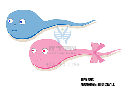 <b>【佳学基因检测】病例分析会中需要知道的关于CDKN2A基因的知识</b>