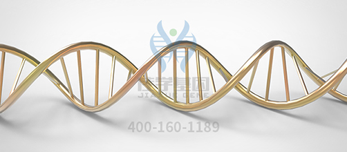 执业助理医师资格考试中关于CHUK的知识要点