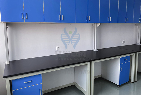 <b>【佳学基因检测】科技部重大课题答辩中关于CDH5一定会问的内容</b>