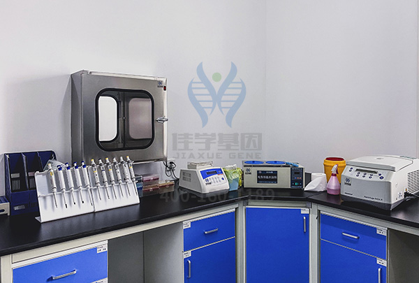 <b>【佳学基因检测】科技部一般性项目关于CD247研究的国际国内空白</b>