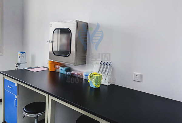 <b>【佳学基因检测】病例讨论会中需要知道的关于CD80的知识</b>