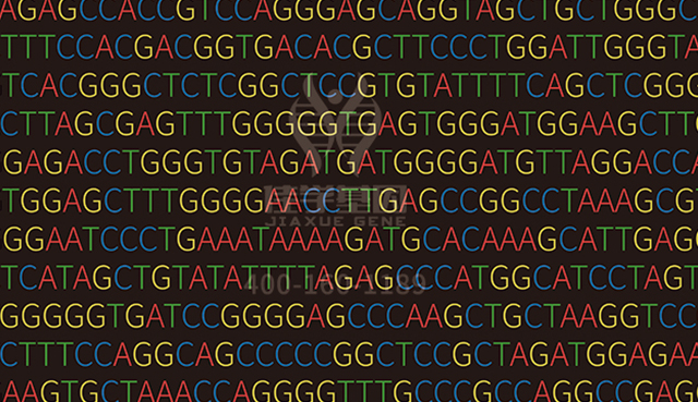 <b>【佳学基因检测</b>