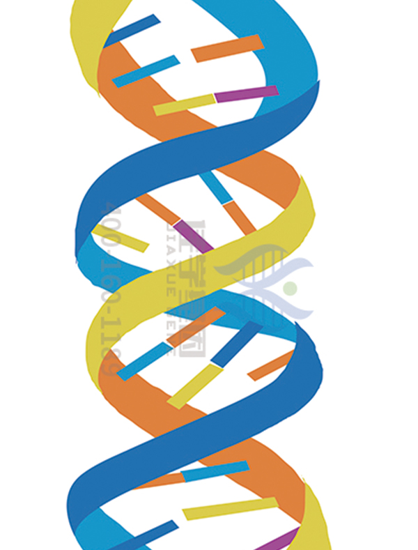 <b>【佳学基因检测</b>