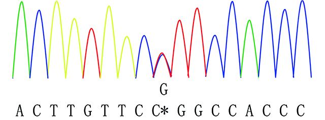 <b>【佳学基因检测</b>