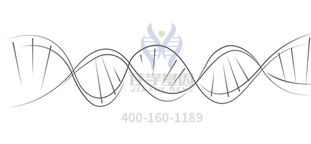 <b>【佳学基因检测】神经外科学中如何充实FDPS疾病风险评估内容</b>