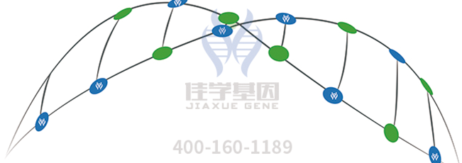 <b>【佳学基因检测】文心一言中疾病风险评估中关于GBE1的知识所包含的内容</b>