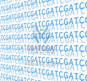 <b>【佳学基因检测】全基因测序GABRA5疾病筛查有意义未明突变，我该怎么办？</b>