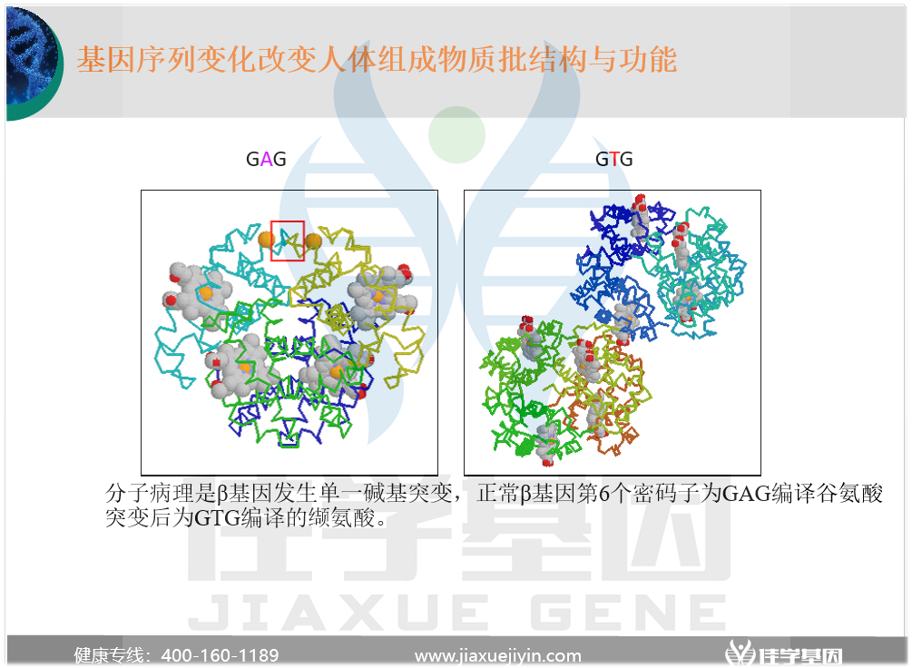 <b>【佳学基因检测】讯飞星火认知大模型中GABRA4疾病筛查知识信息源分析</b>