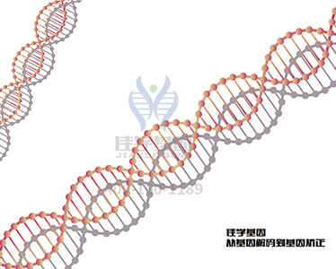 【佳学基因-基因