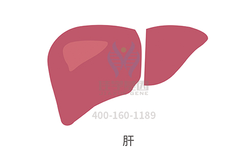 【佳学基因解码-基因检测】代谢性疾病的根本原因也是基因突变！