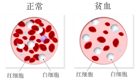 <b>【佳学基因检测】全基因测序FLNA基因检测有意义未明突变，我该怎么办？</b>