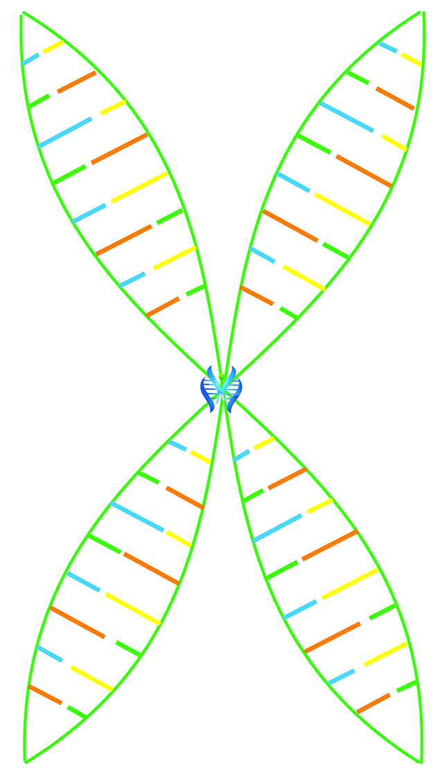 【佳学基因检测