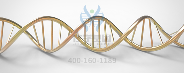 <b>【佳学基因检测】基因检测指导维生素D治疗男性不育</b>