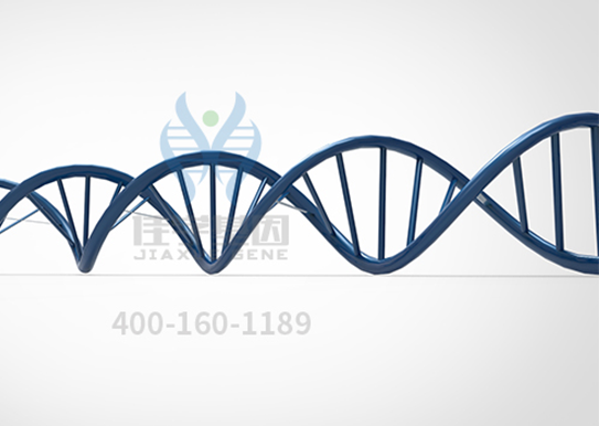【佳学基因检测